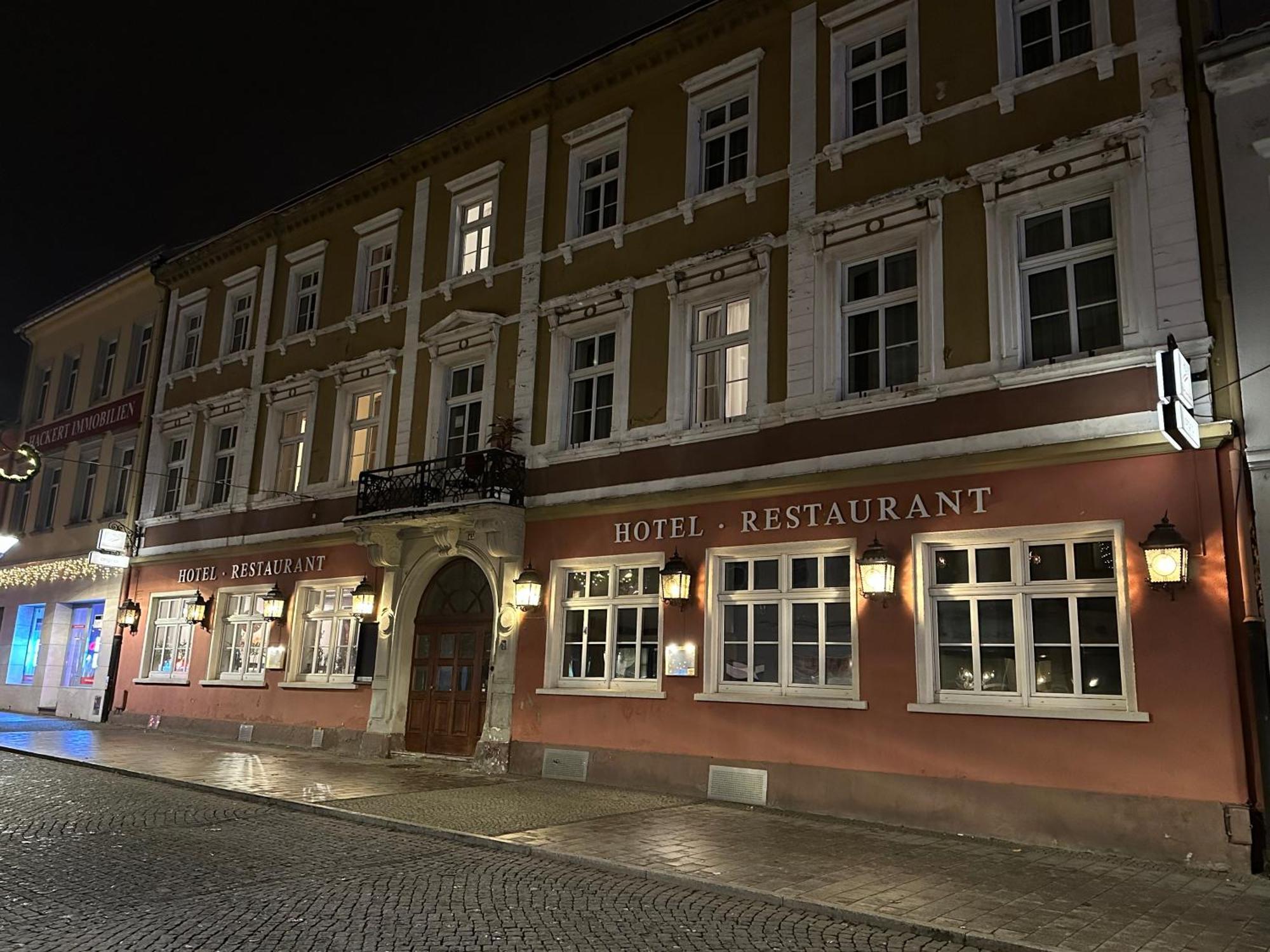 Hotel Sachsenhof Riesa Eksteriør bilde